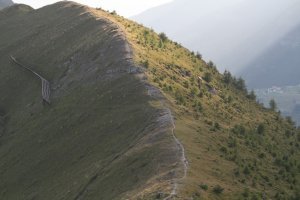 Les sommets des Alpes verdissent... et certains beaucoup plus vite que d'autres
