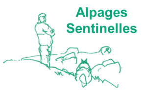 Un nouvel article du réseau Alpages Sentinelles sur les indicateurs agro-climatiques en alpage et leur évolution
